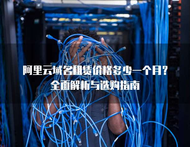 阿里云域名租赁价格多少一个月?全面解析与选购指南