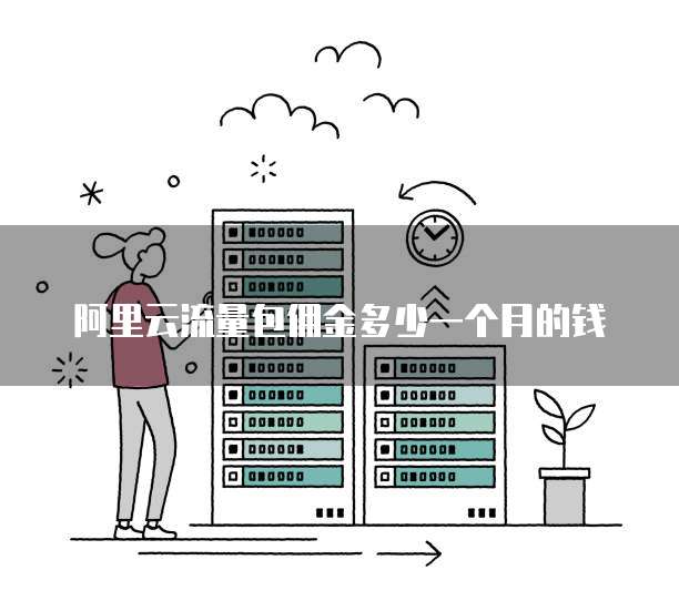 阿里云流量包佣金多少一个月的钱
