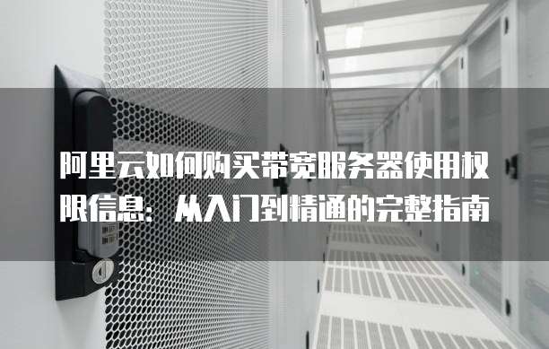 阿里云如何购买带宽服务器使用权限信息:从入门到精通的完整指南