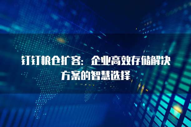 钉钉粮仓扩容：企业高效存储解决方案的智慧选择