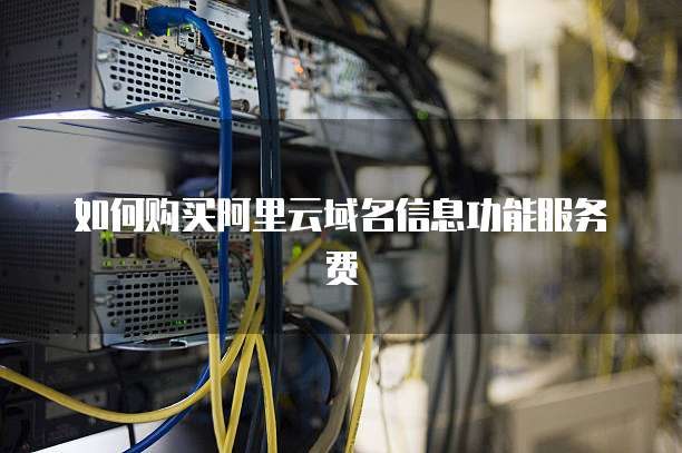 如何购买阿里云域名信息功能服务费
