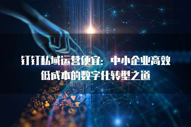 钉钉私域运营便宜：中小企业高效低成本的数字化转型之道