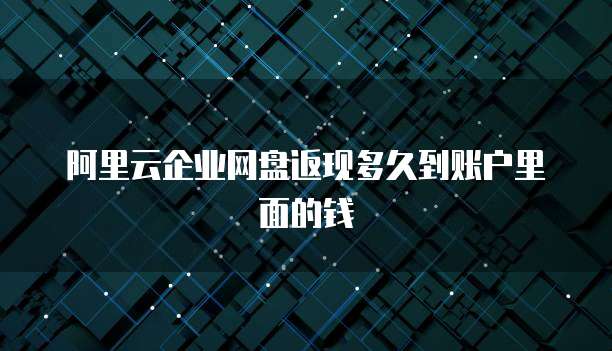 阿里云企业网盘返现多久到账户里面的钱