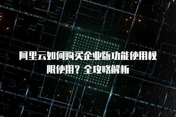 阿里云如何购买企业版功能使用权限使用?全攻略解析