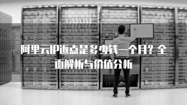 阿里云IP返点是多少钱一个月?全面解析与价值分析