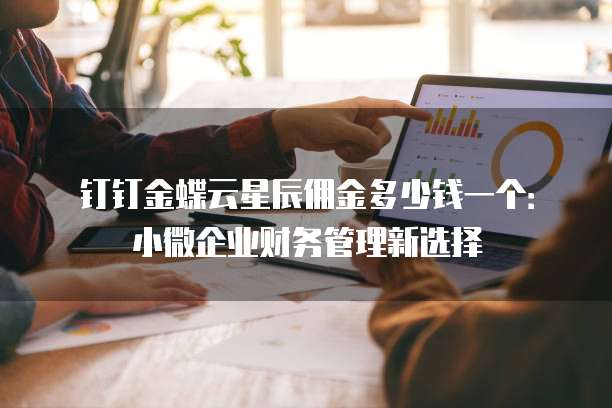 钉钉金蝶云星辰佣金多少钱一个:小微企业财务管理新选择