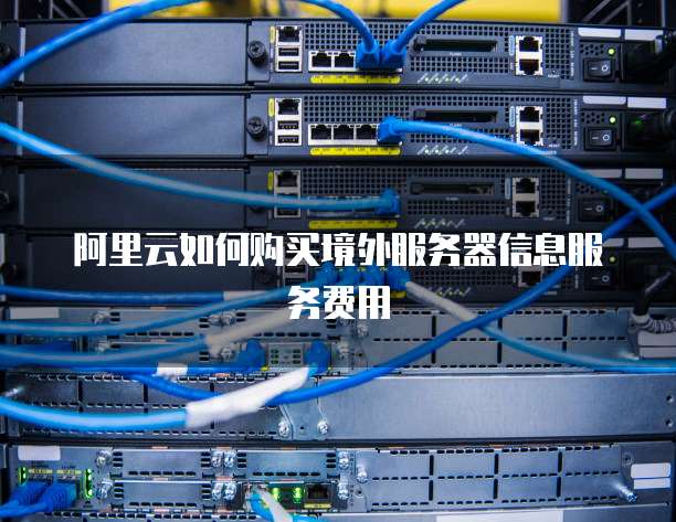 阿里云如何购买境外服务器信息服务费用