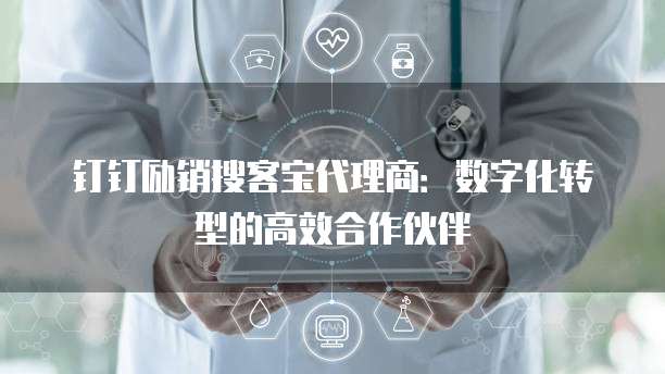 钉钉励销搜客宝代理商：数字化转型的高效合作伙伴