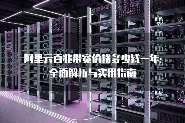 阿里云百兆带宽价格多少钱一年:全面解析与实用指南
