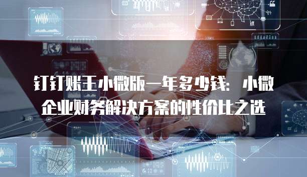 钉钉账王小微版一年多少钱:小微企业财务解决方案的性价比之选