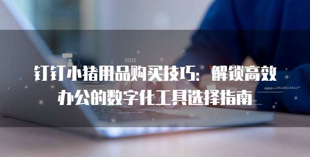 钉钉小猪用品购买技巧:解锁高效办公的数字化工具选择指南
