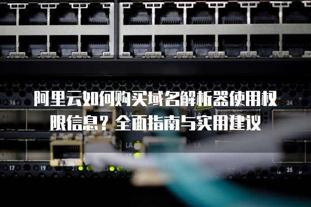 阿里云如何购买域名解析器使用权限信息?全面指南与实用建议