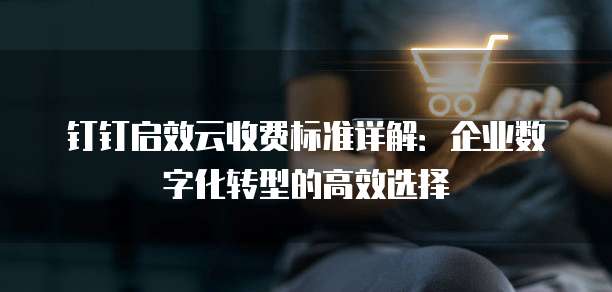 钉钉启效云收费标准详解:企业数字化转型的高效选择