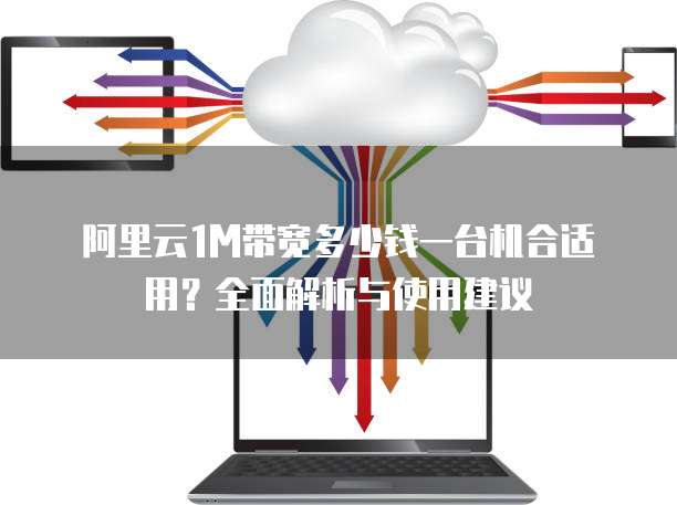 阿里云1M带宽多少钱一台机合适用?全面解析与使用建议