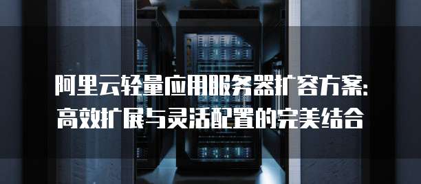 阿里云轻量应用服务器扩容方案:高效扩展与灵活配置的完美结合