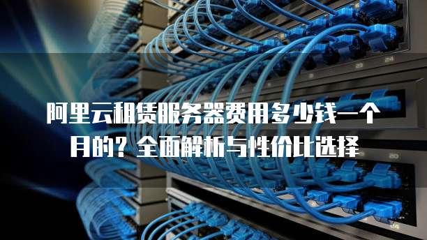 阿里云租赁服务器费用多少钱一个月的?全面解析与性价比选择