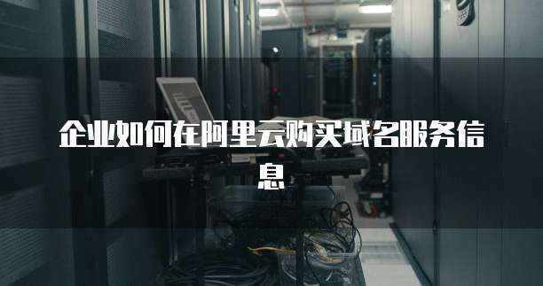 企业如何在阿里云购买域名服务信息