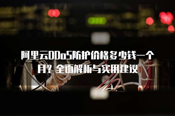 阿里云DDoS防护价格多少钱一个月?全面解析与实用建议