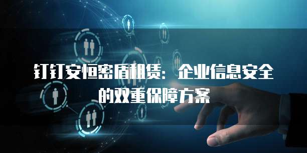 钉钉安恒密盾租赁:企业信息安全的双重保障方案