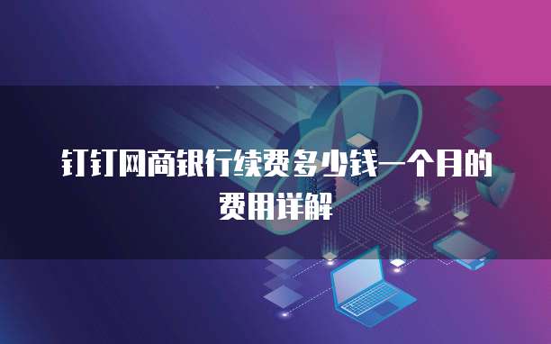 钉钉网商银行续费多少钱一个月的费用详解