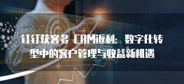 钉钉获客多 CRM返利:数字化转型中的客户管理与收益新机遇