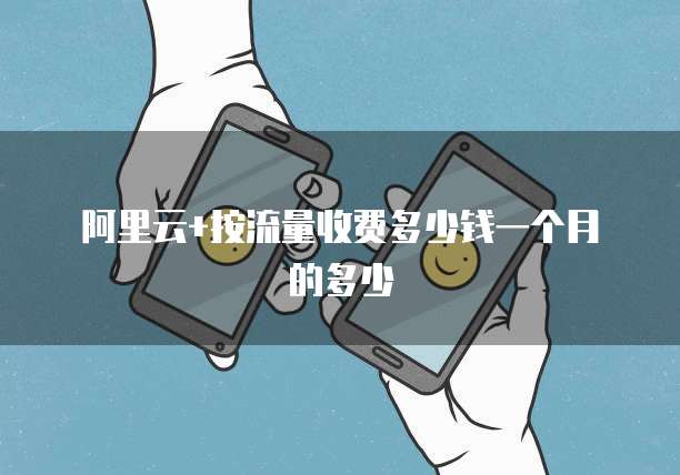 阿里云+按流量收费多少钱一个月的多少