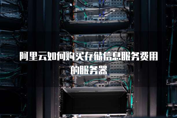 阿里云如何购买存储信息服务费用的服务器