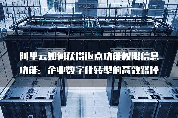 阿里云如何获得返点功能权限信息功能:企业数字化转型的高效路径