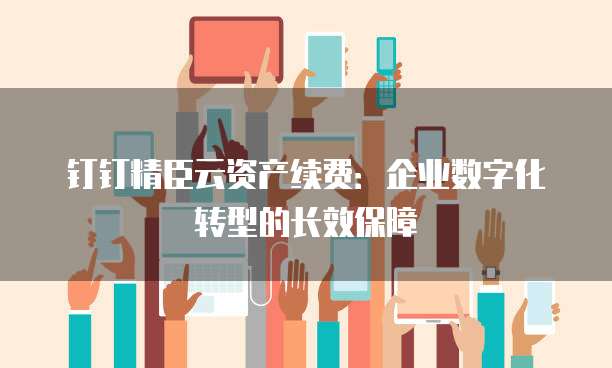 钉钉精臣云资产续费:企业数字化转型的长效保障