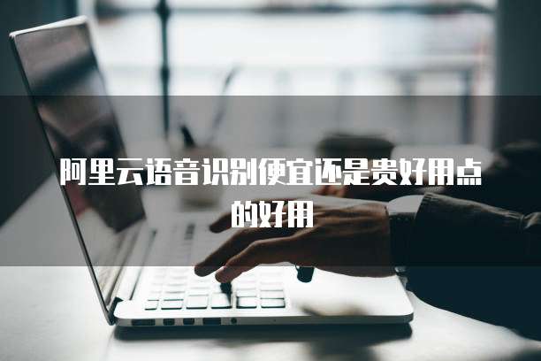 阿里云语音识别便宜还是贵好用点的好用