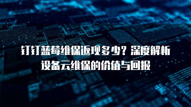 钉钉蓝莓维保返现多少?深度解析设备云维保的价值与回报