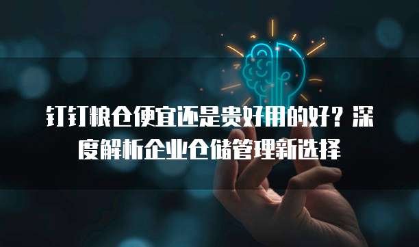 钉钉粮仓便宜还是贵好用的好？深度解析企业仓储管理新选择