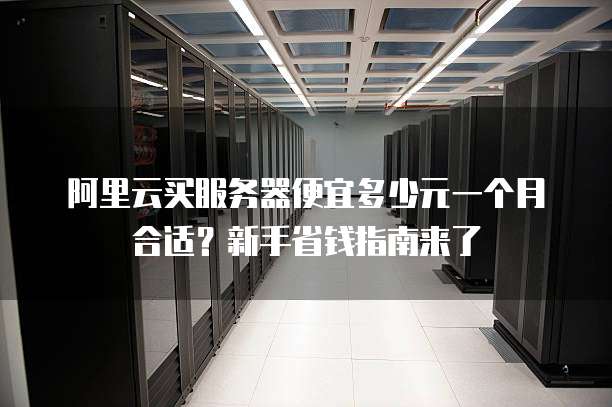 阿里云买服务器便宜多少元一个月合适?新手省钱指南来了