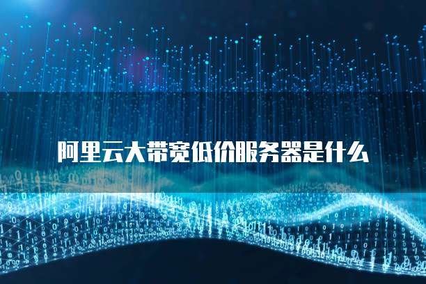 阿里云大带宽低价服务器是什么
