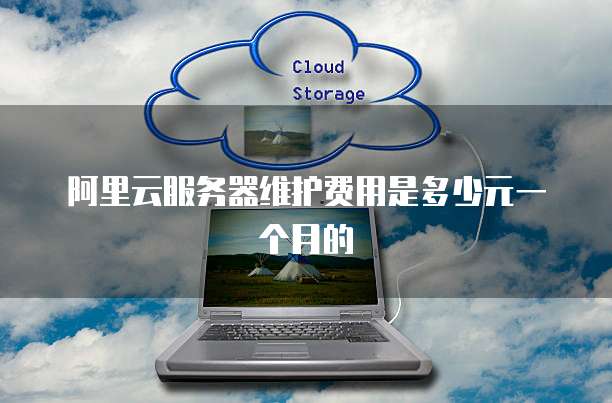 阿里云服务器维护费用是多少元一个月的