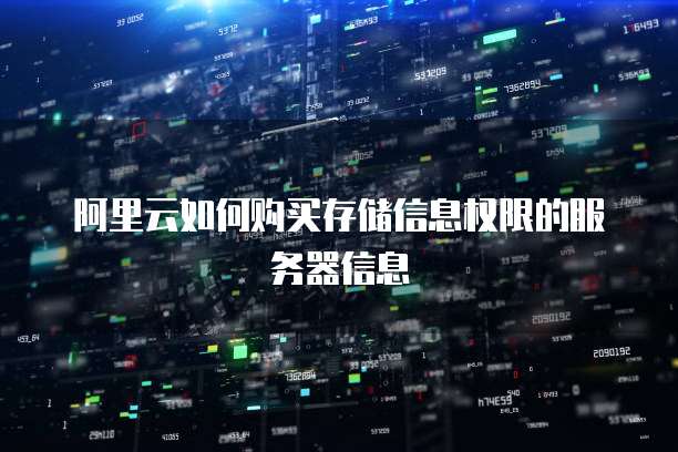 阿里云如何购买存储信息权限的服务器信息