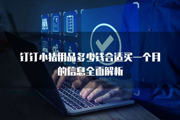 钉钉小猪用品多少钱合适买一个月的信息全面解析