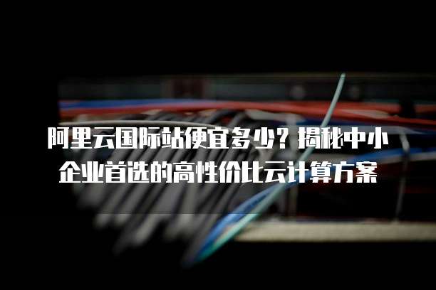 阿里云国际站便宜多少?揭秘中小企业首选的高性价比云计算方案