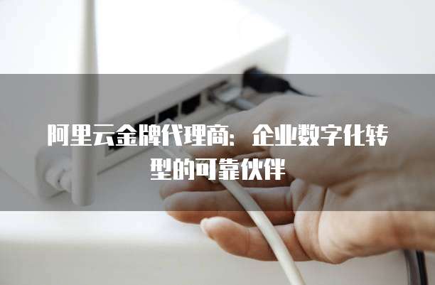 阿里云金牌代理商：企业数字化转型的可靠伙伴