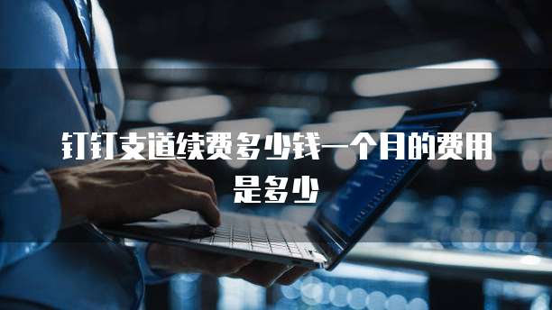 钉钉支道续费多少钱一个月的费用是多少
