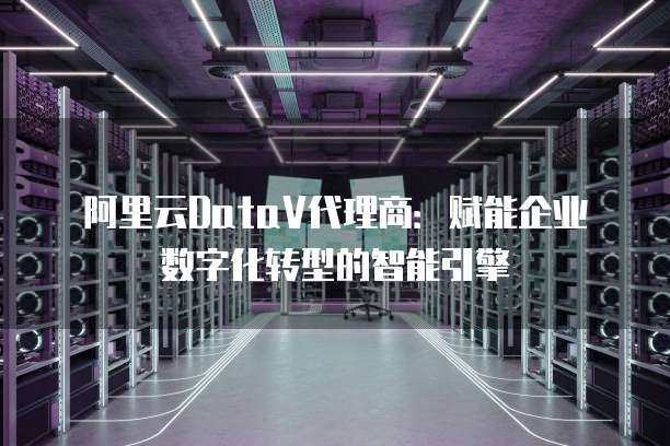 阿里云DataV代理商：赋能企业数字化转型的智能引擎