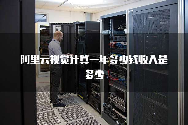 阿里云视觉计算一年多少钱收入是多少