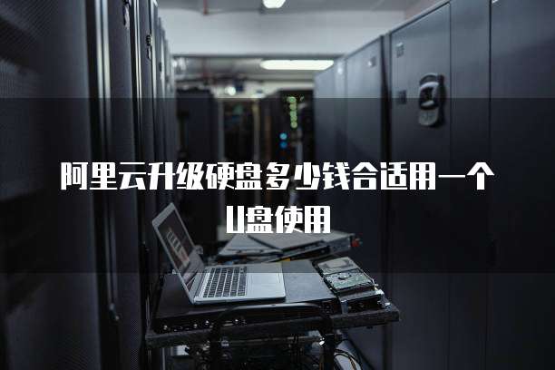 阿里云升级硬盘多少钱合适用一个U盘使用