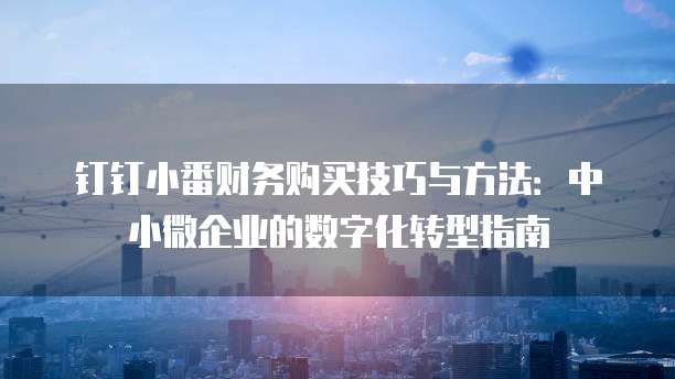 钉钉小番财务购买技巧与方法:中小微企业的数字化转型指南