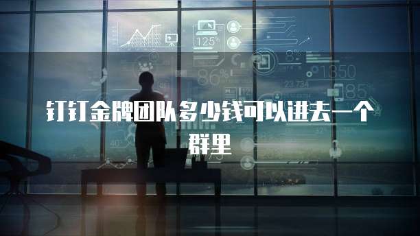 钉钉金牌团队多少钱可以进去一个群里