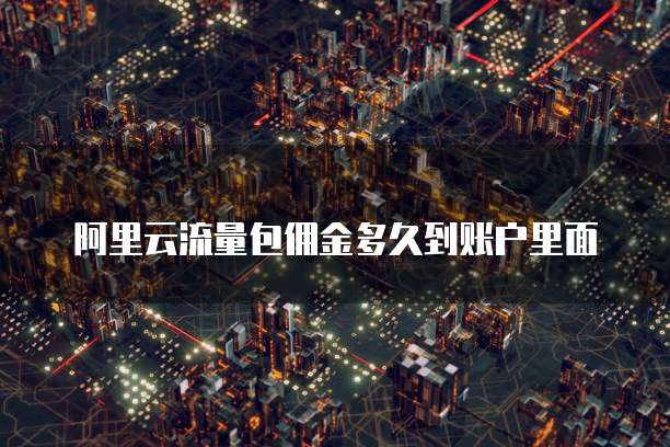 阿里云流量包佣金多久到账户里面