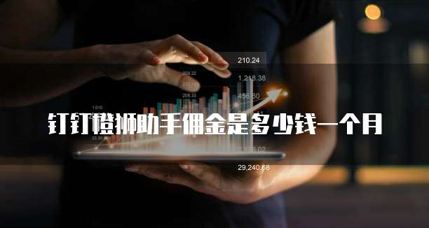 钉钉橙狮助手佣金是多少钱一个月
