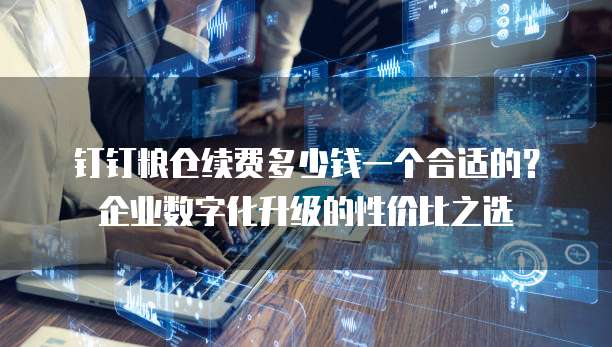 钉钉粮仓续费多少钱一个合适的?企业数字化升级的性价比之选