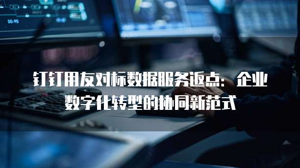 钉钉用友对标数据服务返点：企业数字化转型的协同新范式
