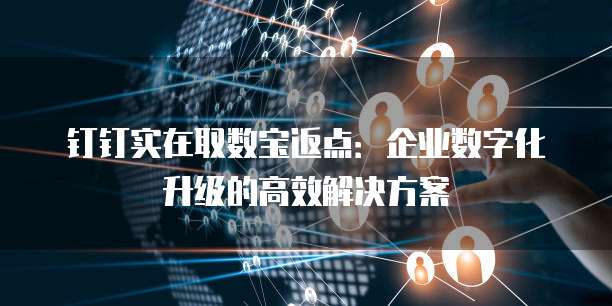 钉钉实在取数宝返点：企业数字化升级的高效解决方案